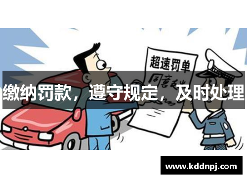 缴纳罚款，遵守规定，及时处理