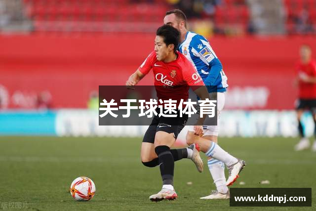关于球速体育